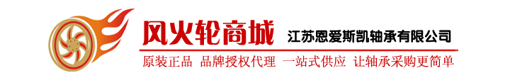 恩愛斯凱軸承